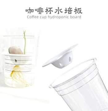Hydroponic Board Coffee Cup Hydroponic Plate for Tulips Avocados Succulents Desktop Green Plants