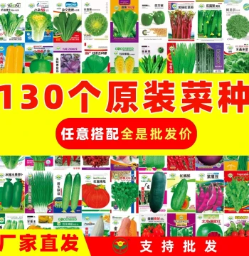 Assorted Vegetable Seeds for Year-Round Gardening - Radish, Coriander, Lettuce, Scallion, Garlic, Chili, and Water Spinach