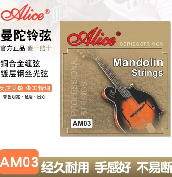 Mandolin String Set AM03/04 AM05 Ethnic Design