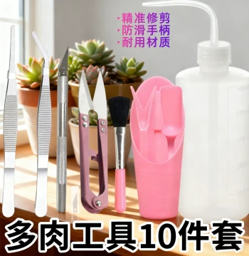 Succulent Gardening Tool Set - Root Trimming, Grafting Knife, Beheading Tool, and Trowel for Beginners
