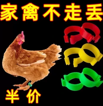 Poultry Leg Band Tags - Anti-Lost Identification Rings for Chickens, Ducks, and Birds