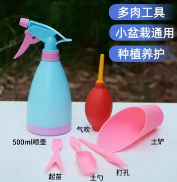 Gardening Tool Set for Succulents – Includes Transplanter, Bucket, Trowel, Rake, Brush, Air Blower, and Spray Bottle