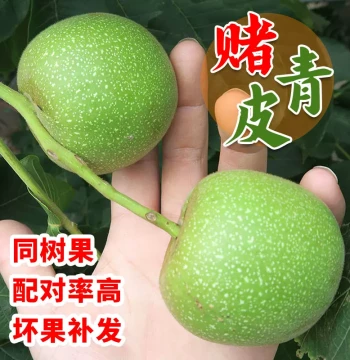 Green-Skin Toad Head Cultural Walnut - Four Pavilions, White Lion Head, Millstone, Palace Lantern, Apple Orchard Varieties for Hand-Held Play and Official Hat Style