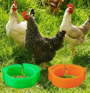 Universal Leg Band ID Ring for Chickens, Ducks, Geese, Poultry, Pigeons, Chicks, Open Buckle Marker Ring