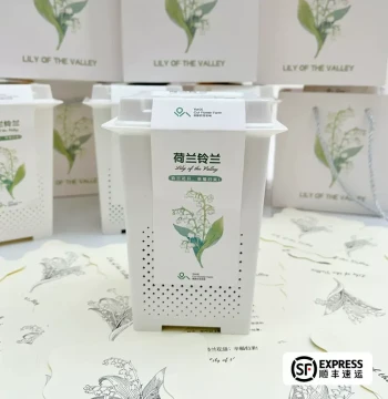 Huaxin Lily of the Valley Gift Box Planting Set, Imported Premium Fragrant Flowers, Easy to Grow, Perfect Arbor Day Gift, 1 Pot with 3 Buds