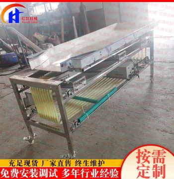 Stainless Steel Fruit Grader for Crabapples and Cherries, Non-Damaging Automatic Sorting Machine