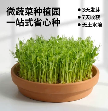 Crop Growth Home Gardening Microgreen Planting Kit, Edible Pea Sprout Tray for Hydroponic Sprouts