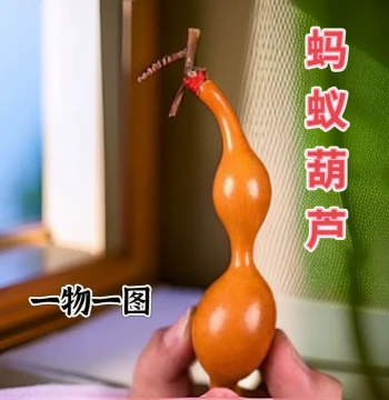 Natural Ant-Belly Small Gourd Irregular Hand-Rolled Wenwan Handle Piece, One Item One Photo, Eight Treasures Patina Aged Gourd