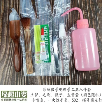 DIY Landscaping Tools Kit - Gardening Supplies for Moss Terrariums and Succulents (Spray Bottle, Tweezers, Brush)