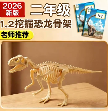 Teacher-Recommended Archaeological Dinosaur Fossil Toy - Educational Hand-Assembled Realistic T-Rex Skeleton Model Ornament (3+)
