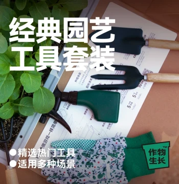 Classic Gardening Tool Set for Crop Growth - Includes Shovel, Rake, Gloves, and Watering Can for Balcony Gardens