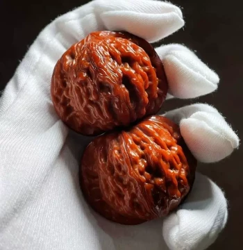 Premium Wenwan Walnut Lion's Head Four Towers Hand Piece, Official Hat Blood Qilin Pattern, Antique Play Beads for Men