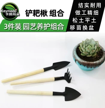 Gardening Tool Set: Mini Shovel, Rake, and Trowel for Home Flower Planting and Succulent Care