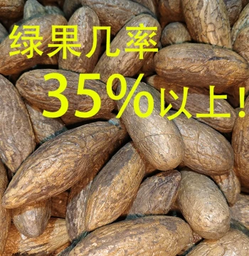 Natural Green and White Qianyan Bodhi Seeds – Raw Material for Wenwan Handpieces and Pendants, Large Plump Fruits