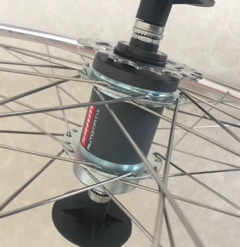 700Bike Repair Service for Houjie Art Museum Baihua AUTOMATIX SRAM Internal Gear Hub Noise Issues