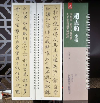 Zhao Mengfu Small Regular Script: Ji An Zhuan, Postscript to Kuai Xue Shi Qing Tie, and Tai Shang Lao Jun Shuo Chang Qing Jing Jing - Close-Up Character Cards