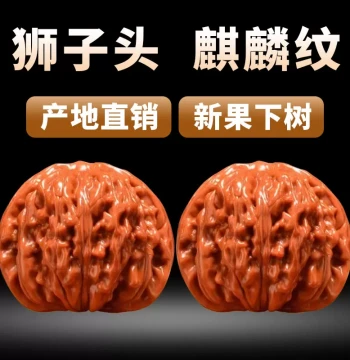 Traditional Walnut Hand Pieces for Play and Polishing, Guanmao, Sizuo Lou, Lion Head, Extra-Large Kirin Pattern Antique Collectibles