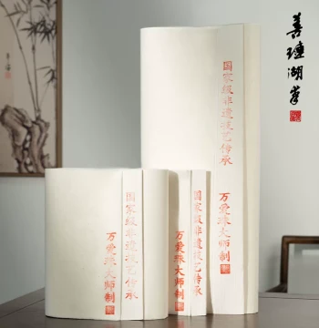 Shanlian Hubi Longyou Leather Paper by Master Wan Aizhu, National Intangible Heritage Calligraphy Paper, Semi-Sized for Soft Brush Practice and Professional Chinese Painting