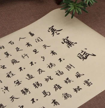 Zhao Mengfu Running Script Han Yao Fu Calligraphy Tracing Paper Scroll for Beginners