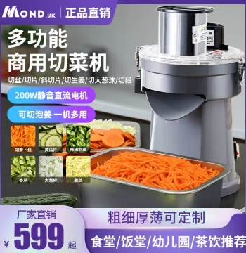 Commercial Electric Vegetable Slicer for Ginger, Potato, Chili Rings, and Thin/Thick Fruit & Vegetable Slicing
