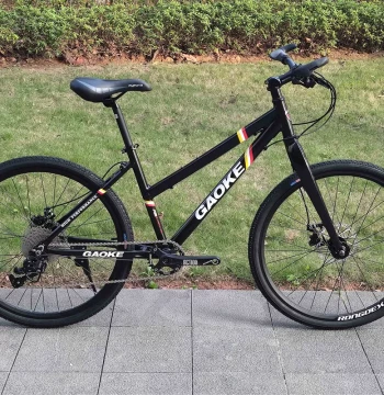 Chunfei Grocery | Commuter Hard Fork Low-Step Mountain Bike for Urban and Suburban Use