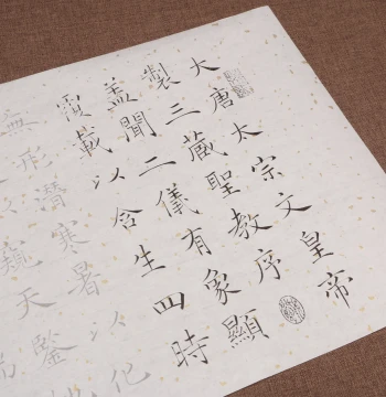 Chu Suiliang Wild Goose Pagoda Shengjiao Xu Medium Regular Script Long Scroll Brush Tracing Copybook Wholesale for Beginners Practice