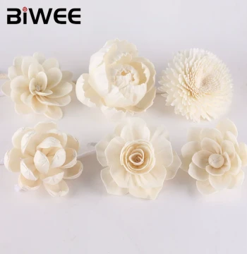 Home Flameless Aromatherapy Essential Oil DIY Dried Flowers, Handmade Large Tetrapanax Flowers, Trendy Wabi-Sabi Style Decorative Flowers
