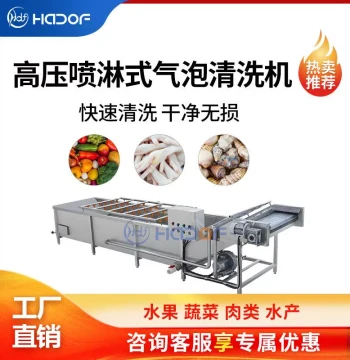 High-Pressure Spray Bubble Washing Machine - Complete Production Line for Strawberries, Cherries, Fruits, Vegetables, and Prepared Foods