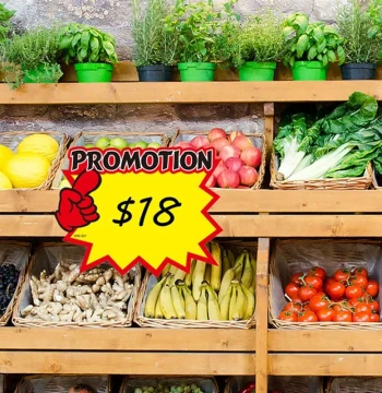 50 Pcs Market Commodity Price Tag ers Advertising Tags Paper