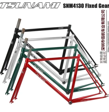 Chunfei Grocery | Custom 3-Speed Internal Gear Steel Frame City Commuter Bike