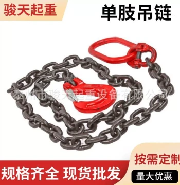 Single-Leg Lifting Chain 2t 1.5m, Single-Strand Chain 2m, Hoisting Chain Slings, Cast Alloy Chain