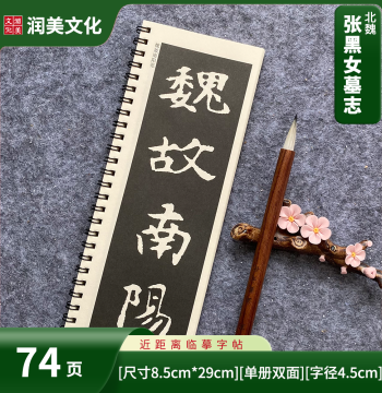 Zhang Heinu Epitaph Wei Bei Calligraphy Copybook, Zhang Xuan Epitaph Original Stone Rubbing, Brush Practice Copybook, 74 Pages