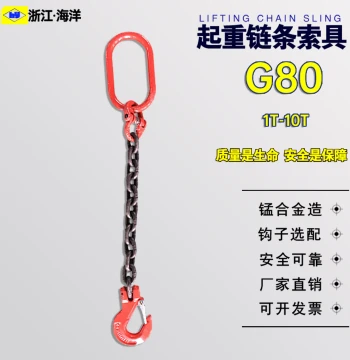 Manganese Steel Assembly Chain Rigging Single-Leg Lifting Chain Hoist 1-Leg Chain Single Branch Chain Hook Lifting Iron Chain