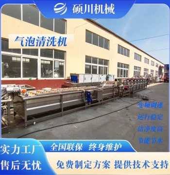 Bubble Washing Machine for Sweet Potato Stems, Gong Cai, Wakame, Kelp, Celery, and Coriander - Spray-Type Vegetable Cleaner