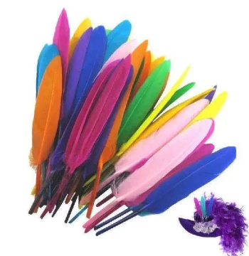 .Craft Feathers 50pcs/Set Colorful Feathers Colored Feather