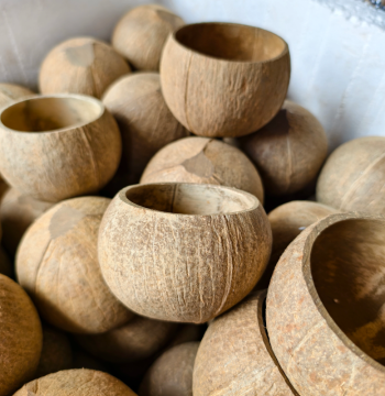 Natural Unpolished Coconut Shell Bowl - Creative Decorative Storage and Dining Bowl