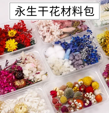 Dried & Preserved Flower DIY Kit for Scented Candles – Ocean Style for Festivals, Team Building, and Workshops