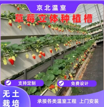 Greenhouse Soil-Free Strawberry Growing Trough - PVC Elevated Hydroponic Channel with Drainage Outlet for Aerial Planting