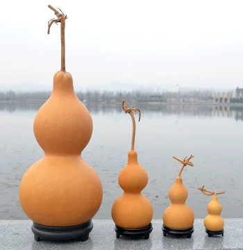 Natural Large Gourd Ornament for Hand Play, Feng Shui Home Decor for Living Room