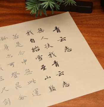 Zhao Mengfu Calligraphy Copybook - Running Script 'Qingyun Zhi', Red-Traced Practice Paper for Beginners in Calligraphy
