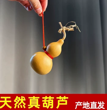 Natural Open-Top Gourd Pendant with Dragon Head - Feng Shui Decoration for Entrance Door and Wealth Attraction