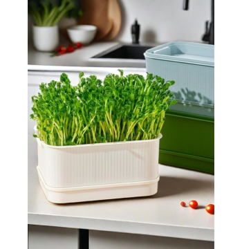Bean Sprout Germinator Tray, Hydroponic Vegetable Growing Container, Soil-Free Pea Sprouting Pot