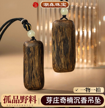 Unique Wild Vietnamese Nha Trang Kynam Agarwood Pendant - Irregular Wu Shi Pai, Sinking Grade