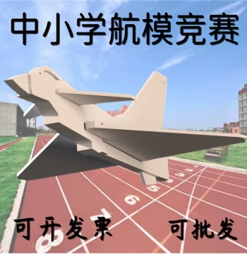 J0 J-10 STEM Education Model Aircraft Kit for Primary and Secondary School Competitions, Made of Magic Board PP Foamed Material