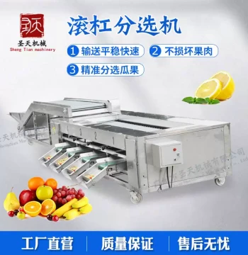 Stainless Steel Fruit and Vegetable Grader for Cherry Tomatoes, Kumquats, Jujubes, and Kiwis, Sorting and Selecting Machine