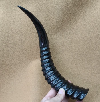 Outer Mongolian Antelope Horn, Premium Goat Horn Threads, Black Goat Horn, Genuine Whole Horn Creative Gift Ornament
