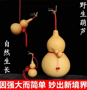 Natural Extra-Large Gourd Ornament Genuine Small Gourd Pendant Living Room Naturally Grown Gourd with Stem