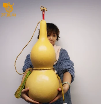 Natural Gourd Ornament for Home Living Room, Extra Large Wild Wenwan Gourd with Stem, Uncut Genuine Hanging Decoration