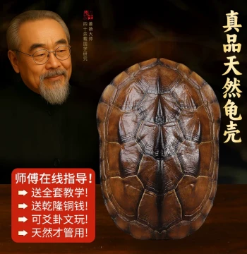 Natural Turtle Shell Divination Set - Authentic Tortoise Shell with Qianlong Copper Coins for I Ching Hexagram Casting