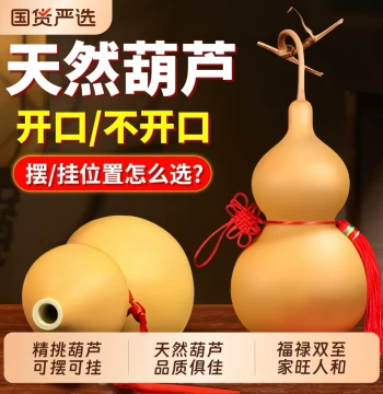 Natural Gourd Pendant and Ornament, Authentic Gourd for Moxibustion, Chinese Knot Auspicious Open-Top Decoration for Doorways, Living Room, and Entryway - Large Collectible